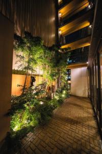 松山多格酒店的建筑里带植物和灯的走廊
