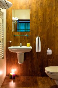 奥格尼亚诺沃Family Hotel BOHEMA的一间带水槽、卫生间和镜子的浴室