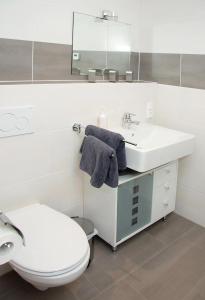 NettersheimFerienwohnung Roderath的白色的浴室设有卫生间和水槽。
