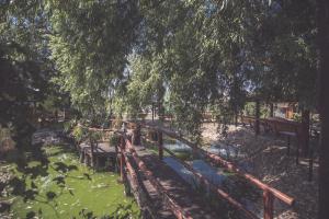 Beli Manastir帕特里亚酒店的公园池塘上的桥梁