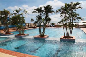 拉各斯联邦宫酒店和赌场的度假村内棕榈树游泳池