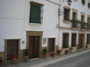 Castro del Río乡村别墅酒店的街道上种有盆栽植物的白色建筑