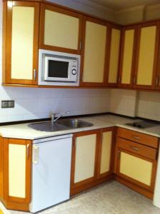 莱昂希格罗二十一公寓式酒店的厨房配有水槽和微波炉