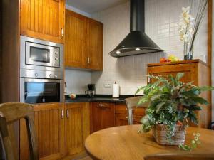 奥查加维亚Apartamentos Pistolo的厨房配有木制橱柜和植物桌子