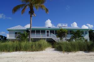 大松礁岛Deer Run on the Atlantic的海滩上一棵棕榈树的蓝色房子