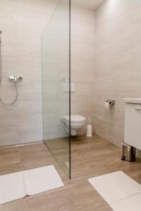 Deutschfeistritz伯恩撒勒餐厅宾馆的一间带玻璃淋浴和卫生间的浴室