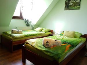 茨兹伊特纳Kamienna Polana的配有绿床单的客房内的两张床