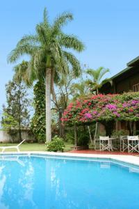 Libertador General San Martín波萨达德索尔Spa酒店的一座拥有棕榈树和粉红色花卉的游泳池