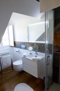 巴涅尔-德吕雄Maison Eugénie的一间带水槽、卫生间和镜子的浴室