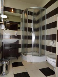波兹南约瑟夫王子酒店的带淋浴、盥洗盆和卫生间的浴室