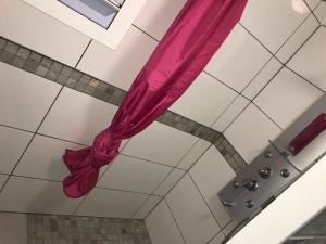 圣路易斯Maison lyam的浴室天花板上的粉红色窗帘