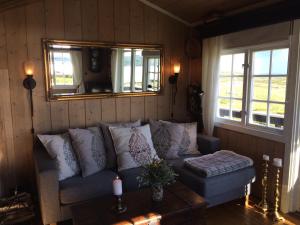 奥尔Kjøniksbu - 3 bedroom cabin的带沙发和2扇窗户的客厅