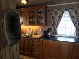 奥尔Kjøniksbu - 3 bedroom cabin的厨房配有木制橱柜、水槽和窗户。