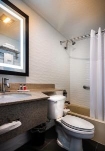 韦恩韦恩戴斯酒店的浴室配有卫生间、盥洗盆和淋浴。