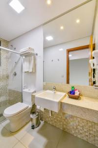戈亚尼亚微风机场广场酒店的一间带水槽、卫生间和镜子的浴室
