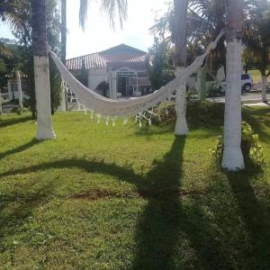 特马斯多伊比拉Pousada Aguas de Ibira的吊床挂在两棵棕榈树之间的院子