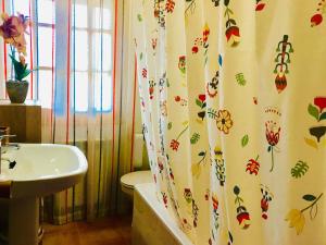 里奥帕尔Casa Rural Los Acebos的一间带水槽和淋浴帘的浴室