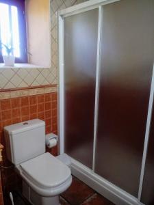 IsoraCasa Rural Casa Carlos的设有带卫生间的浴室内的淋浴间