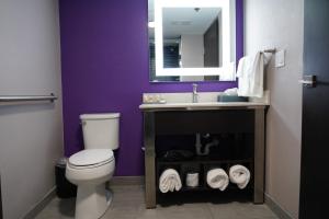 布兰森小瀑布酒店的一间带水槽、卫生间和镜子的浴室