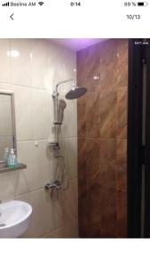 埃里温Уютная квартира около станции метро的带淋浴的浴室