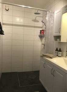 诺托登Notodden Sentrum Apartment NO 2的带淋浴、盥洗盆和台面的浴室