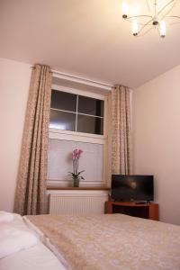赫拉德茨 - 克拉洛韦阿克莎高级旅馆的一间卧室设有一张床和一个带电视的窗户。
