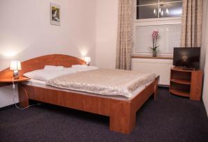 赫拉德茨 - 克拉洛韦阿克莎高级旅馆的一间卧室配有一张大床和电视