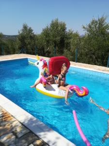 迈索尼Hakuna Matata Holidays 'Agalia' with pool in Greek Olive Grove的两个孩子在游泳池里一排独角木筏上