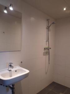 WijnjewoudeB&B Stripsein的浴室配有盥洗盆和带镜子的淋浴