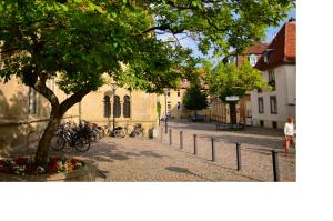 奥斯纳布吕克多梦酒店的一条有自行车停放在树旁的街道
