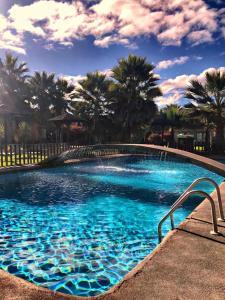 拉塞雷纳大太平洋酒店的一座拥有蓝色海水和棕榈树的大型游泳池