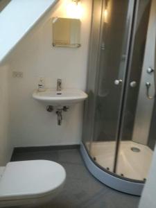 TranekærLohalshygge的浴室配有卫生间、盥洗盆和淋浴。