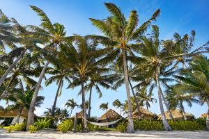 拉罗汤加Motu Beachfront Art Villas的海滩上一群棕榈树,带吊床