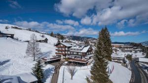 希洛谢克Der Berghof的山上雪地中的滑雪小屋