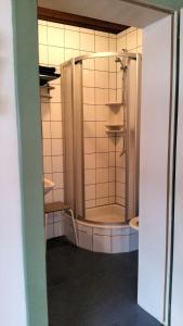 维尔德科格尔山麓布兰贝格Villa Zeppelin - App Smaragd的带淋浴和卫生间的浴室