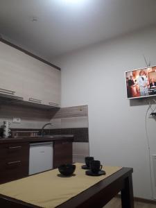 Apartmani Nikola u vili Semeteš的厨房或小厨房