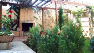 比利亚尔瓦德拉谢拉Casa Azahar的一座花园,在一座建筑前种植了植物