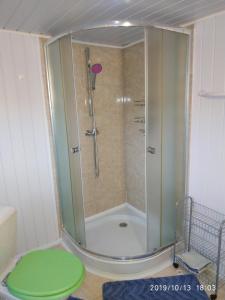 坦瓦尔德全景旅馆的浴室设有绿色凳子和淋浴