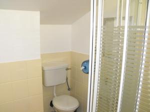 都柏林海泽布鲁克旅舍的一间带卫生间和淋浴的浴室