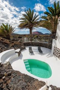 MasdacheEl Rincón的一个带热水浴池和棕榈树的游泳池
