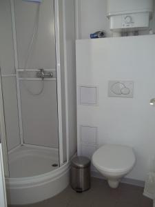 BreiðavíkHotel Breidavik的带淋浴和卫生间的白色浴室