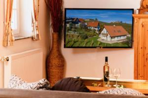 绍萨尔地区基策克Kellerstöckl Goigner的客厅配有两瓶花和墙上的电视