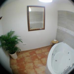 格拉纳达Escapadas romanticas en Granada jacuzzi的一间带卫生间、镜子和植物的浴室