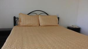 LiraWestcliff Hotel的床上有2个枕头