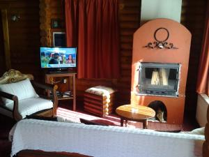 Áyios Nikólaos斯提瓦提木屋公寓的客厅设有壁炉和电视。