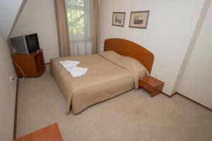 希卢泰戴姆斯酒店的一间小卧室,配有一张床和电视