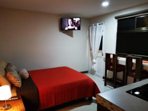 蒙泰韦尔德哥斯达黎加CASA GERANIOS STUDIO #3的一间卧室配有红色的床和一台平面电视