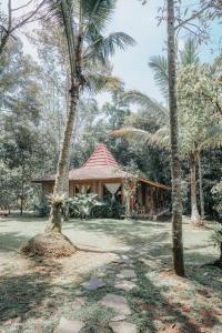 贾蒂卢维Saridevi Ecolodge的前面有棕榈树的房子