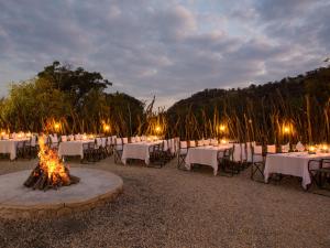 象牙树野游山林小屋餐厅或其他用餐的地方