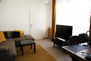 韦瑟灵Apartment am Rhein的带沙发和电视的客厅